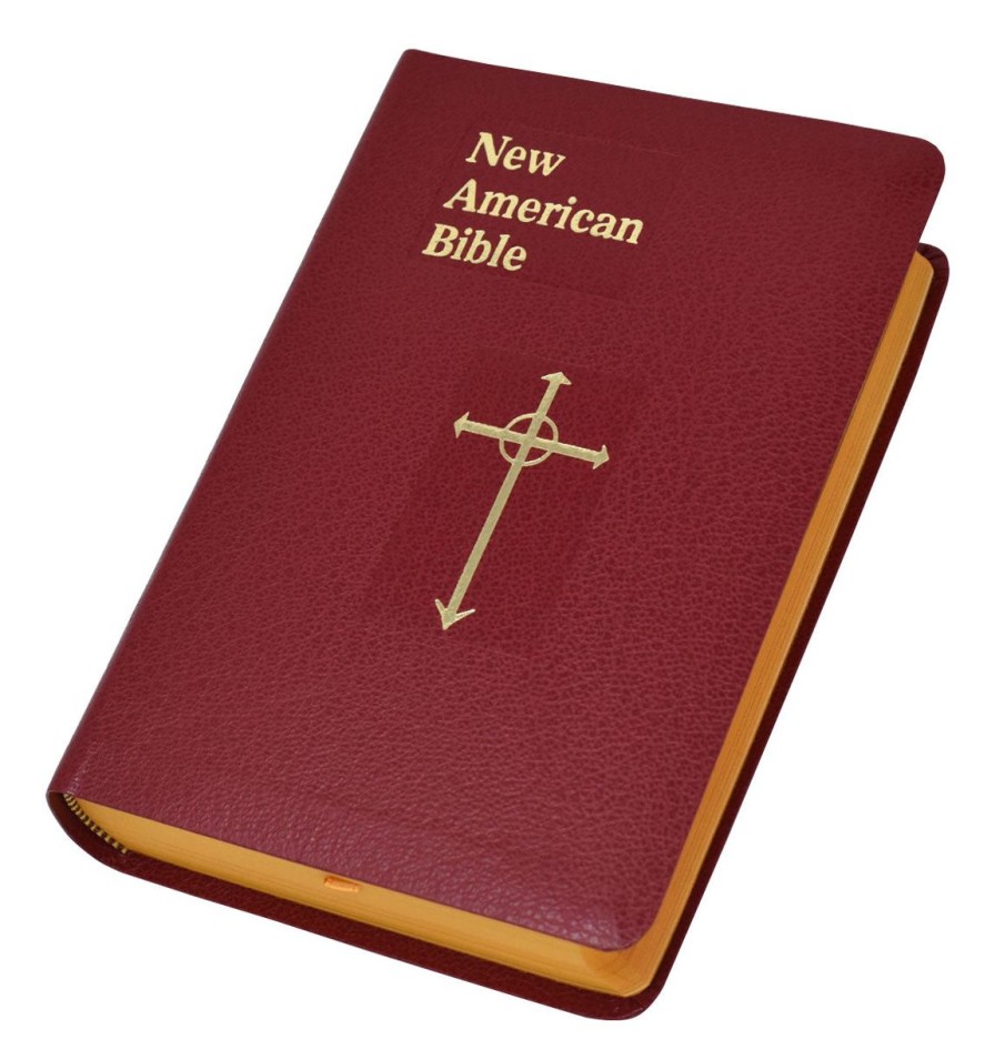 Books & Bibles Regers | St. Joseph Nabre (Personal Size Gift Edition)